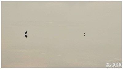 S22U-10X長焦 : 北沙河的夕陽