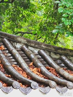 【時光正好】生活中的小美好