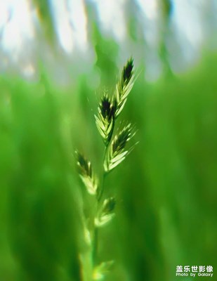 【時光正好】+生活隨拍