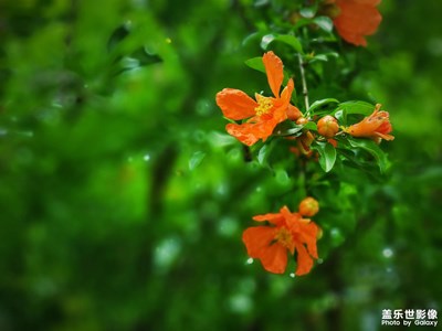 園區(qū)第二彈