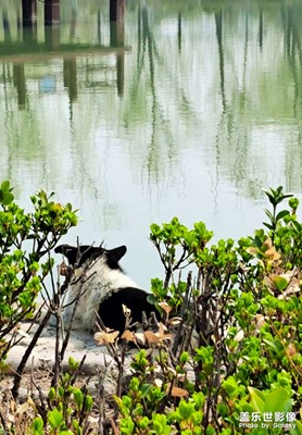 【時(shí)光正好】+悠閑時(shí)光