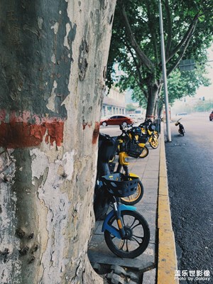 拍了幾張疫情下的照片