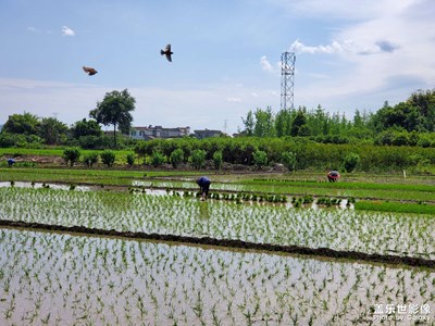 【生活的地方】+村野