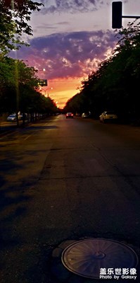 看這濃墨的夏天