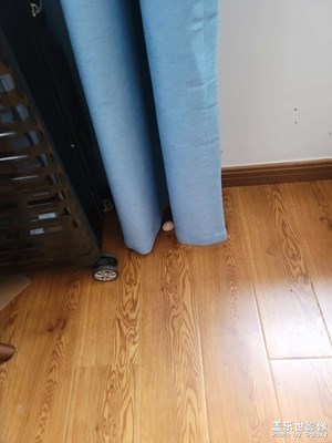 周血壓錯五月一日至七日無記錄