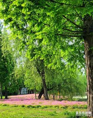 一個(gè)人一座城