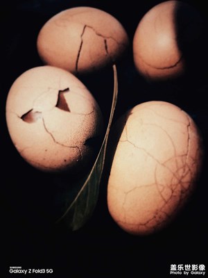 星攝－醉生夢(mèng)死