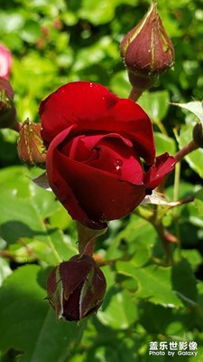 【碎片日常】+時(shí)光碎片