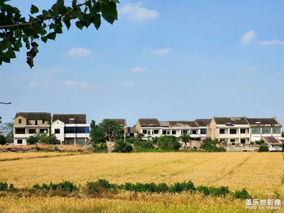 人間最美五月天