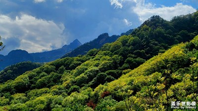 【碎片日常】+隨走隨拍