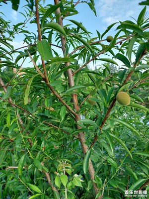 【鄉(xiāng)城美景】自然如畫