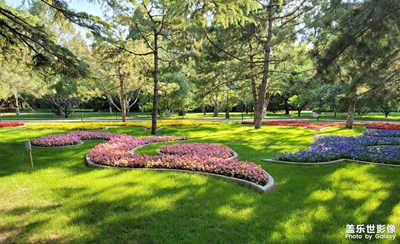 【碎片日?！?探尋美好，自在其中