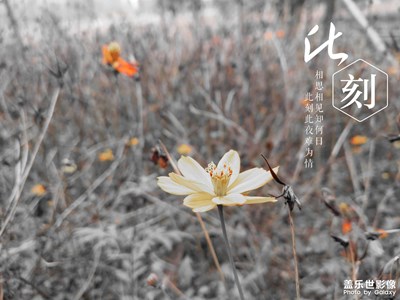 一張好圖，多種玩法