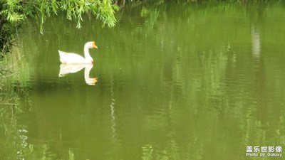 【當(dāng)下好時光】+周末隨拍