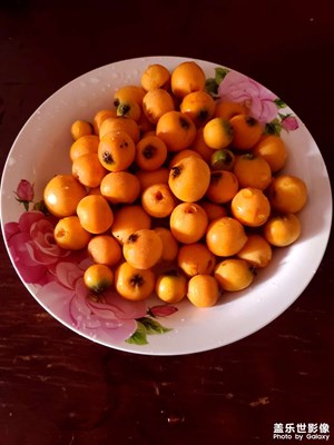 【當(dāng)下好時光】周末愉快的時光