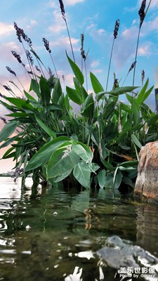 當下好時光-秀美照