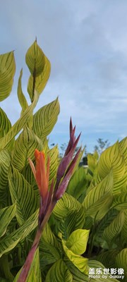 【把生活拍成電影】+當(dāng)下好時(shí)光，漫步時(shí)刻