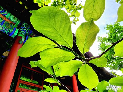 【當(dāng)下好時光】生活