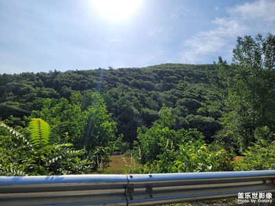 生活總要有抹綠色