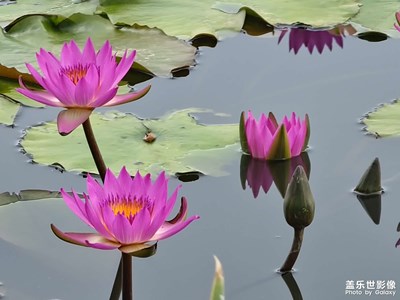 【把生活拍成電影】+小星星拍大片