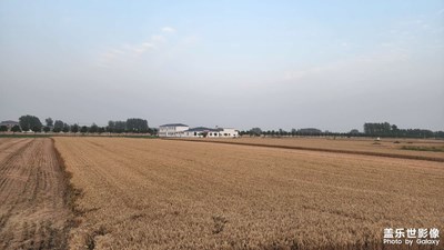 【把生活拍成電影】+正值麥?zhǔn)諘r