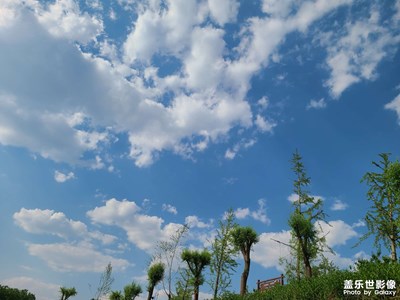 不知不覺夏天到了