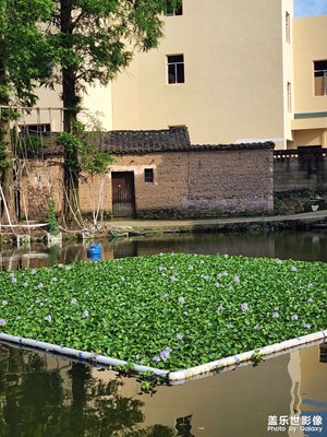 東陽古村落