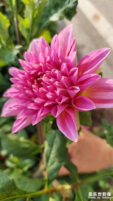 美是一種發(fā)現