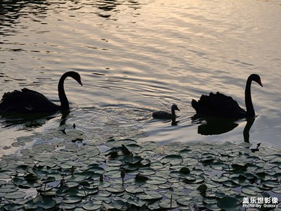 【與光影同行】奇妙的光