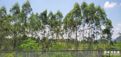 三星星耀貴廣線！