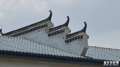 【不匆忙時刻】夏日隨拍