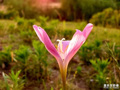 趕一場日落的約