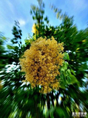 正定隆興別苑公園618夜游