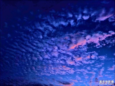 【我的夏天】+愛生活、愛自由