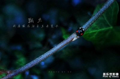 我的夏天，精彩一刻