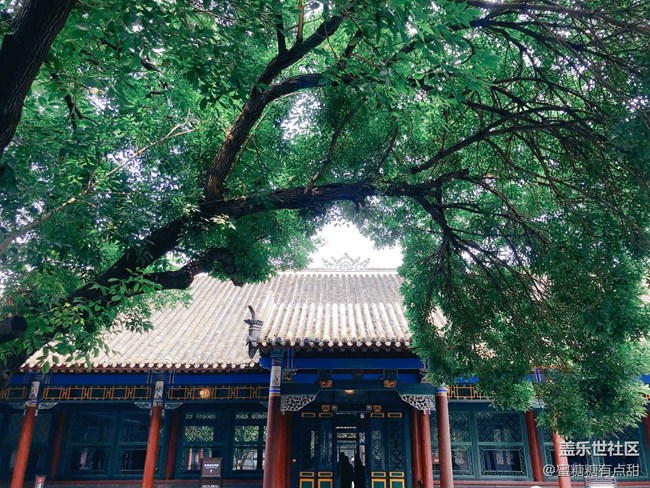 張氏帥府游之外景篇