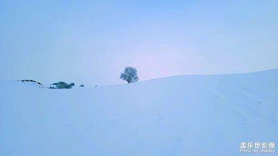 壩上雪（續(xù)）