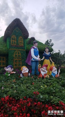 【多彩夏日】+仲夏夜之夢(mèng)