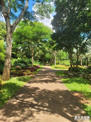 隨手拍公園