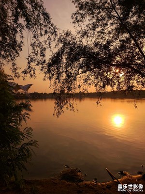 【我的夏天】+夏日夕陽