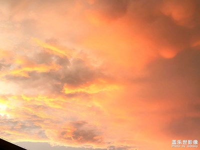 傍晚雨后看看效果好不好。