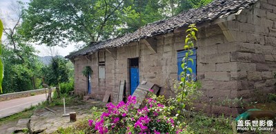 鄉(xiāng)村振興，寧靜的濕地公園！