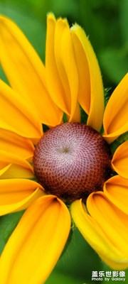 【我的夏天】+靜物分享