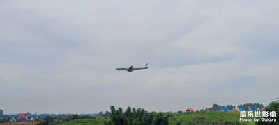 空港花田旁的隨拍！