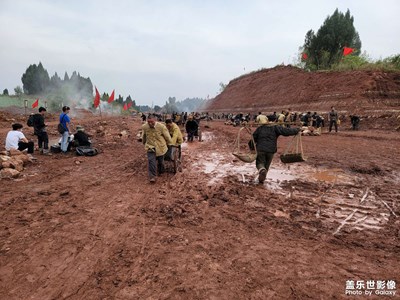 我的夏天，工作一天中暑休息了七天