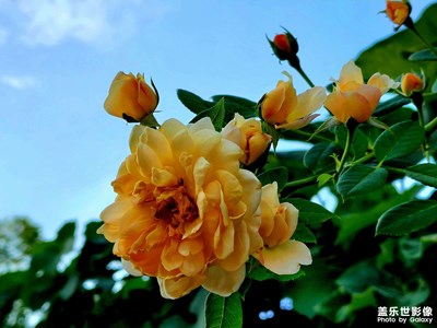 天氣太熱了，不想出門拍照