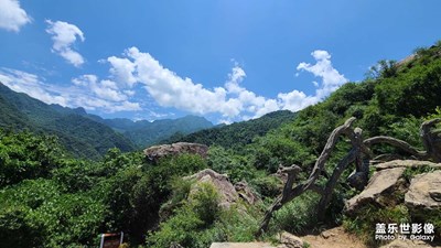 翠華山