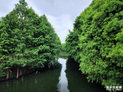 【我的夏天】長焦和夏天更配哦