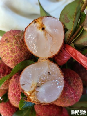 澄邁無(wú)核荔枝