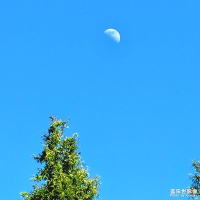 用鏡頭記錄生活